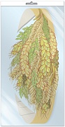 *МА-11476 Маска-ободок. Колосья (в индивидуальной упаковке с европодвесом и клеевым клапаном) - группа Цветы