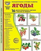 Дем. картинки СУПЕР Ягоды. 16 демонстрационных картинок с текстом на обороте (учебно-методическое пособие с комплектом демонстрационного материала 173х220 мм, познавательное и речевое развитие)