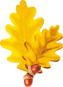 ОЖИДАЕТСЯ М-15101 Вырубная фигурка. Листочки Дубовые осенние. Двухсторонняя (УФ-лак) - тема Деревья