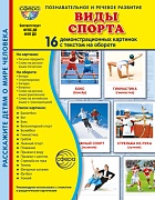 Дем. картинки СУПЕР Виды спорта В ПАПКЕ. 16 демонстр. картинок с текстом (173х220 мм)