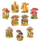 *КМ-17543 Комплект украшений на скотче. Грибная коллекция (9 видов в комплекте)