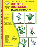 Дем. картинки СУПЕР Цветы полевые. 16 демонстрационных картинок с текстом В ПАПКЕ (173х220 мм)