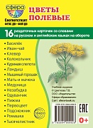 Дем. картинки СУПЕР Цветы полевые. 16 раздаточных карточек с текстом на обороте (учебно-методическое пособие с комплектом демонстрационного материала 63х87 мм, познавательное и речевое развитие)
