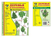 *Комплект. Дем. картинки СУПЕР Деревья и кустарники (2 формата: 173х220 и 63х87)  *Комплект. Дем. картинки СУПЕР Деревья и кустарники (2 формата: 173х220 и 63х87)