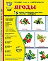 Дем. картинки СУПЕР Ягоды. 16 демонстрационных картинок с текстом В ПАПКЕ (173х220 мм)