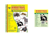 *Комплект. Дем. картинки СУПЕР Животные жарких стран (2 формата: 173х220 и 63х87)  *Комплект. Дем. картинки СУПЕР Животные жарких стран (2 формата: 173х220 и 63х87)