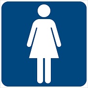 ШН-14708 Наклейки. На дверь туалета для женщин (95х95 мм)