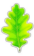 М-10870 Вырубная фигурка. Листочек дуба зеленый (УФ-лак) тема Деревья