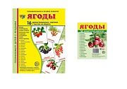 *Комплект. Дем. картинки СУПЕР Ягоды (2 формата: 173х220 и 63х87)  *Комплект. Дем. картинки СУПЕР Ягоды (2 формата: 173х220 и 63х87)