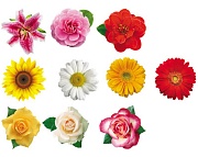 КМ-15010 Комплект украшений на скотче. Набор цветов (10 видов в комплекте) КМ-15010 Комплект украшений на скотче. Набор цветов (10 видов в комплекте)