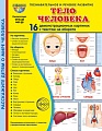 Дем. картинки СУПЕР Тело человека В ПАПКЕ 16 демонстрационных картинок с текстом (173х220 мм)