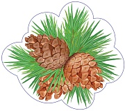 М-17354 Вырубная фигурка. Ветка сосновая с тремя шишками (двухсторонняя, ВД-лак)