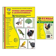 *Комплект. Дем. картинки СУПЕР Птицы домашние и декоративные (2 формата: 173х220 и 63х87) 
