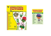 *Комплект. Дем. картинки СУПЕР Комнатные растения (2 формата: 173х220 и 63х87)