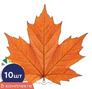 *КМ-18096 Набор украшений на скотче. Листочки. Клен оранжевый  (10 шт. в наборе, двухсторонний, ВД-лак)