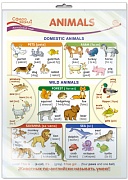 *ПО-13437 ПЛАКАТ А3 В ПАКЕТЕ. Английский язык в 1 классе. Animals (в индивидуальной упаковке, с европодвесом и клеевым клапаном)