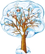 ФБ-15361 Плакат вырубной А2. Клен зимний. Двухсторонний (Уф-лак) - тема Деревья