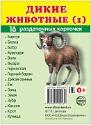 Дем. картинки СУПЕР Дикие животные (1). 16 раздаточных карточек с текстом на обороте (учебно-методическое пособие с комплектом демонстрационного материала 63х87 мм, познавательное и речевое развитие)