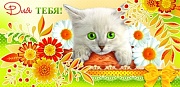 КД-9060 Конверт для денег. Для тебя! (золотая фольга, котенок)