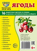 Дем. картинки СУПЕР Ягоды. 16 раздаточных карточек с текстом на обороте (учебно-методическое пособие с комплектом демонстрационного материала 63х87 мм, познавательное и речевое развитие)