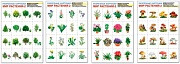 Комплект познавательных мини-плакатов. Мир растений-2 - разрезной (4 листа А4+, текст на обороте)