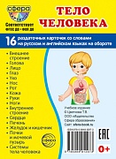 Дем. картинки СУПЕР Тело человека. 16 раздаточных карточек с текстом на обороте (учебно-методическое пособие с комплектом демонстрационного материала 63х87 мм, познавательное и речевое развитие)