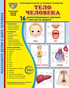 Дем. картинки СУПЕР Тело человека. 16 демонстрационных картинок с текстом В ПАПКЕ (173х220 мм)