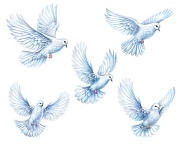 КБ-17294 Комплект для оформления интерьера со скотчем. Голуби (5 плакатов А3)