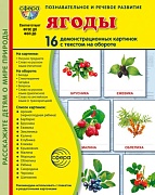Дем. картинки СУПЕР Ягоды. 16 демонстрационных картинок с текстом В ПАПКЕ (173х220 мм)