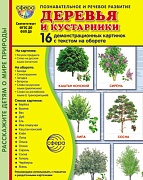 Дем. картинки СУПЕР Деревья и кустарники. 16 демонстрационных картинок с текстом В ПАПКЕ (173х220 мм)