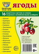 Дем. картинки СУПЕР Ягоды. 16 раздаточных карточек с текстом на обороте (учебно-методическое пособие с комплектом демонстрационного материала 63х87 мм, познавательное и речевое развитие)