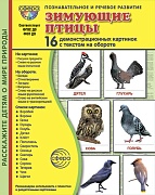 Дем. картинки СУПЕР Зимующие птицы. 16 демонстрационных картинок с текстом В ПАПКЕ (173х220 мм)