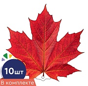 *КМ-18104 Набор украшений на скотче. Листочки. Клен темно-красный (10 шт. в наборе, двухсторонняя, ВД-лак)
