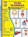 Дем. картинки СУПЕР Тело человека В ПАПКЕ 16 демонстрационных картинок с текстом (173х220 мм)
